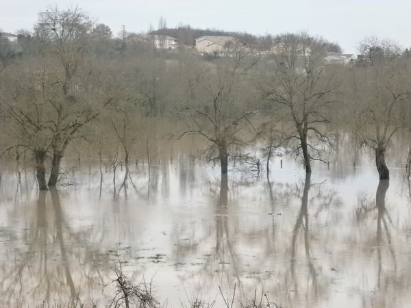 Jonzac--20-01-2013-054.JPG