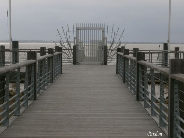 marais, estuaire, port 025