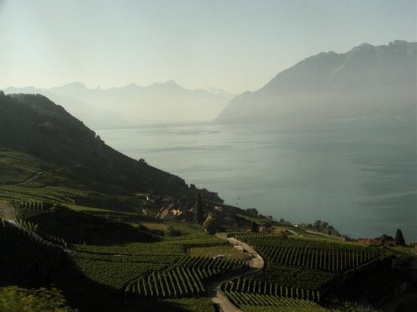 Lavaux 2