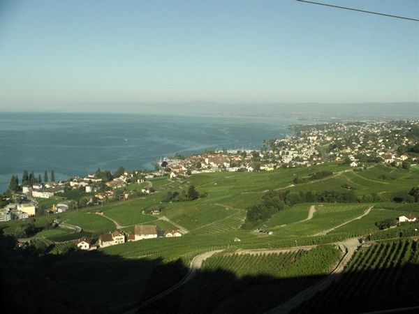 Lavaux