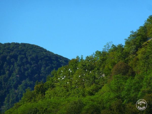automne-1--Copier-.jpg