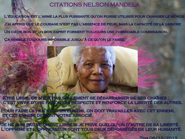 citations-Mandela.jpg