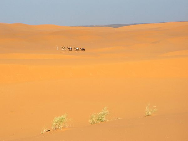 Merzouga - Une caravanne dans le désert marocain