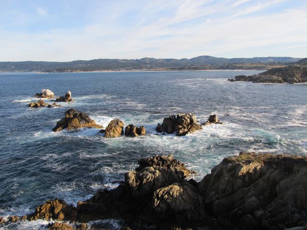 D1-Point-Lobos 7829