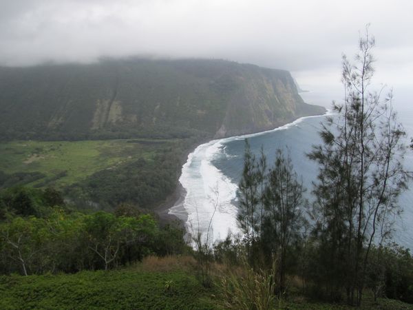 hawaii-D6 1154