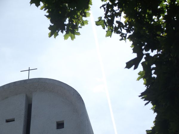 DSCF5776