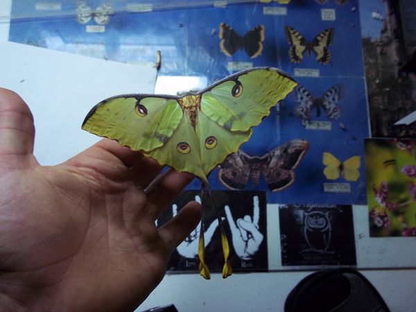 100_6393.JPG