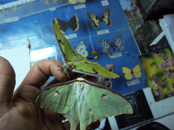 100_6397.JPG