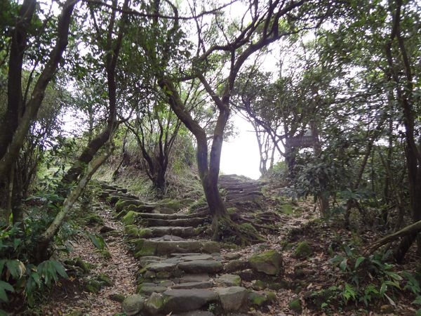 DSC01012.JPG
