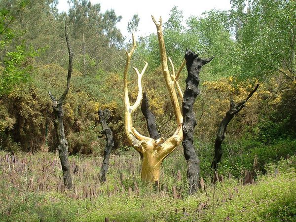 Arbre-d_or-Trehorenteuc---OT-Trehorenteuc.jpg