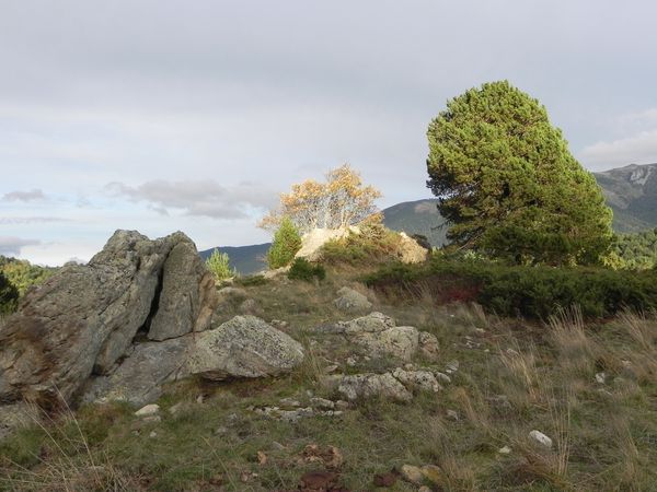 octobre 2012 balade forestière 009