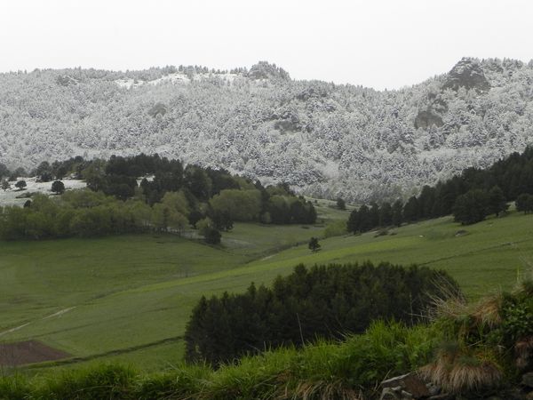 mai 2012 pain et neige 015