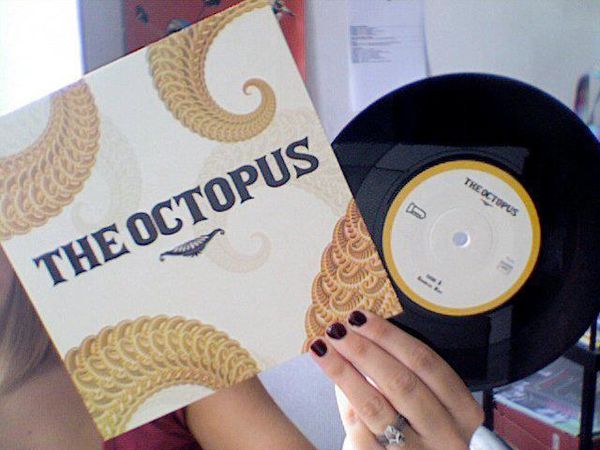 the-octopus-3.jpg