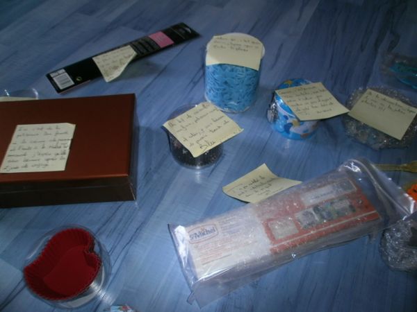 colsa-6.JPG