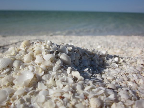 Western-Australia shell beach