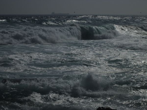 5.Iquique 06