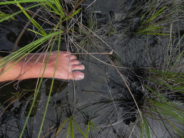 biotope en novembre