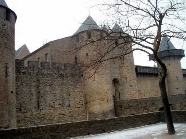 P2032890.JPG