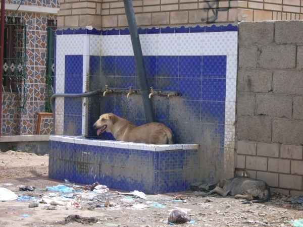 Eh--et-l-eau--ou-elle-est-.-.jpg