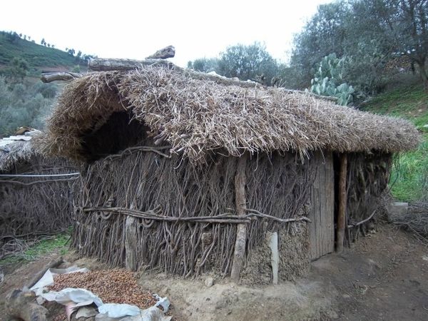 Le-gourbi-traditionnel--la-hutte.jpg