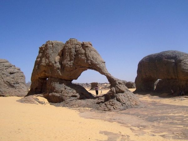 Les-elephants-trompes-colles.jpg