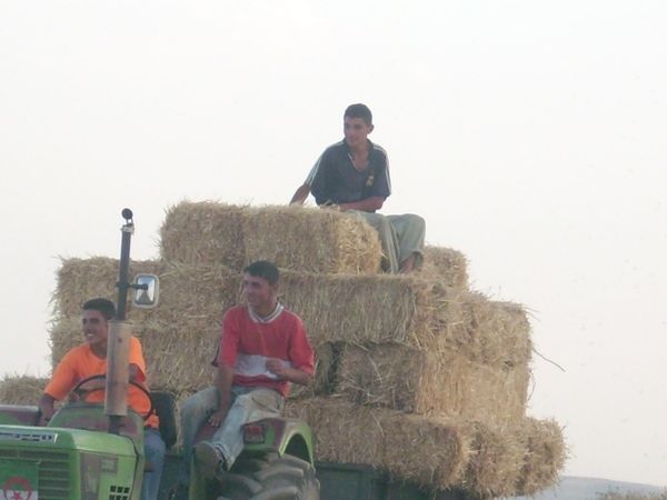 Mjez-Ammar-a-10-km-de-Guelma.jpg