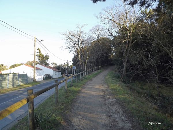 DSCF0348-copie.jpg