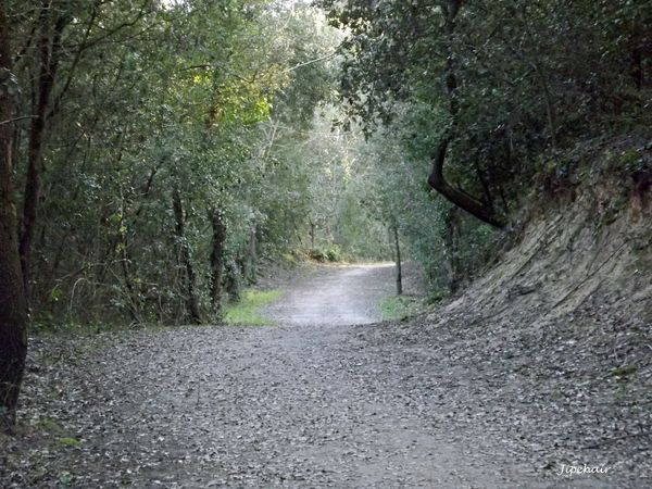 DSCF0357-copie.jpg