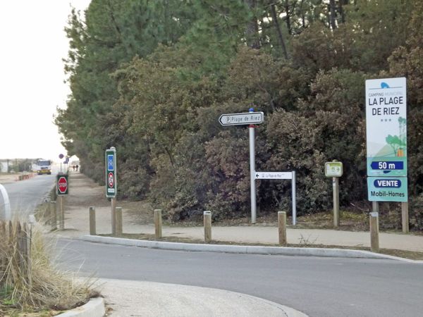 Plage-de-riez.JPG