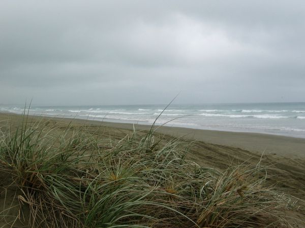 NINETY MILE BEACH