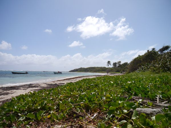 Martinique 2012 079