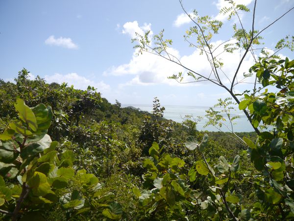 Martinique 2012 141