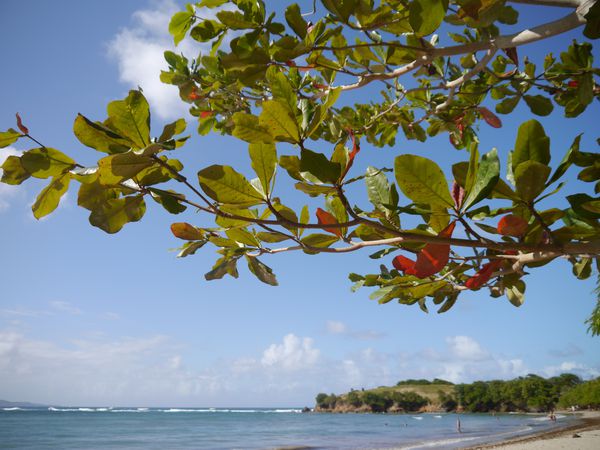 Martinique 2012 192