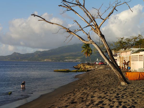 Martinique 2012 367