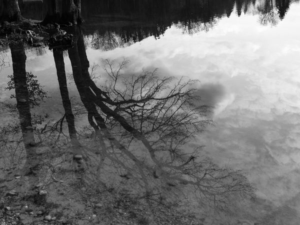 DSCN3235.JPG