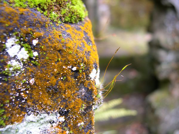 DSCN3731.JPG