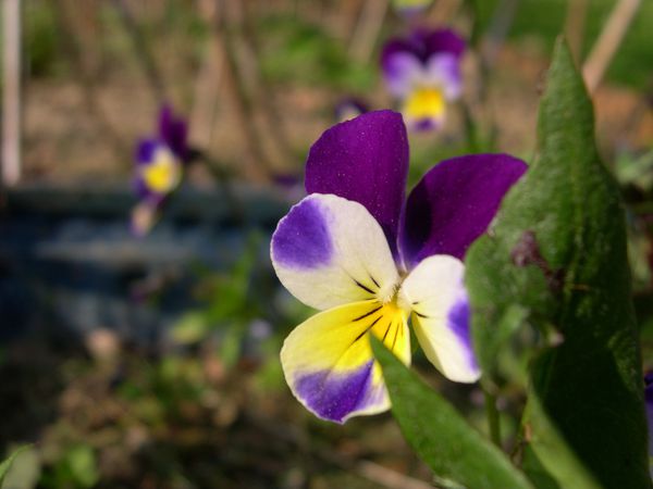 DSCN3906.JPG