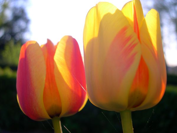 DSCN3938.JPG