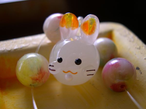 DSCN4285.JPG