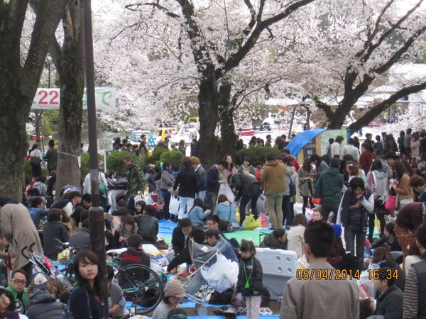 44 photo1