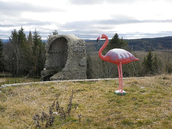 Flamingo Chateauneuf2
