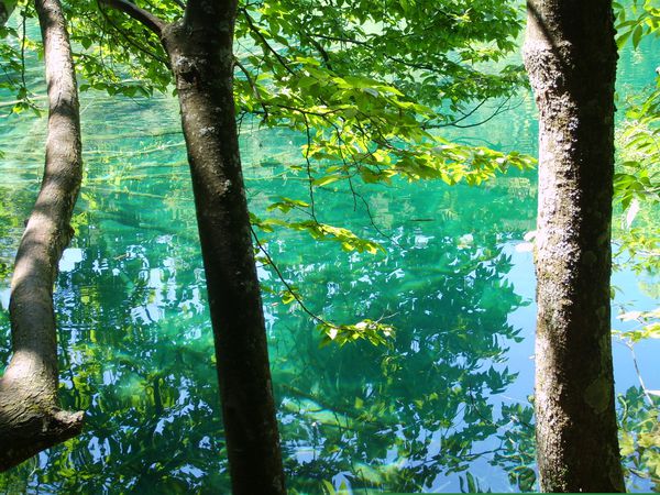 Plitvice14.JPG