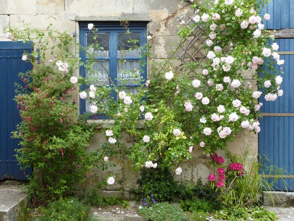 jardins-d-auger---mai-2014---chez-catherine---le-charme-des.jpg