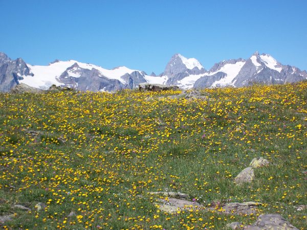 100_1087.jpg
