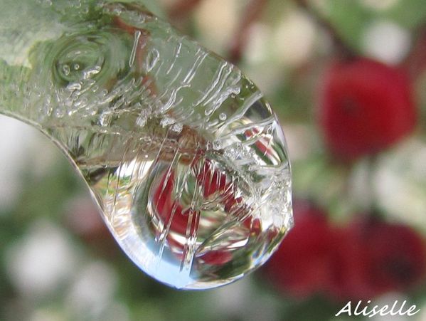 Goutte-glacee---21.jpg