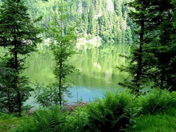 Lac Vert