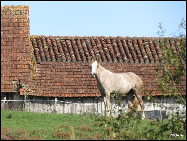 dordogne-2 8678