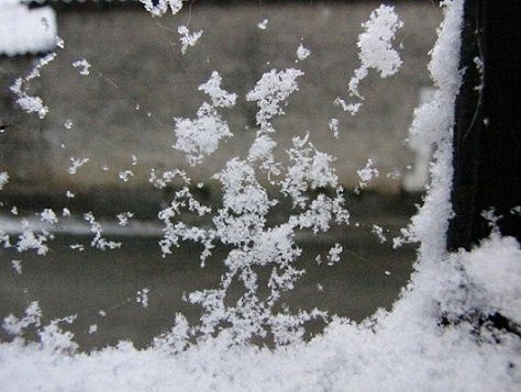 grand-froid-031.JPG