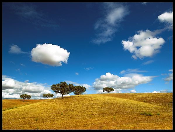 Alentejo.jpg