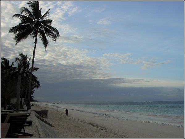 115 Plage su sultan sand à zanzibar